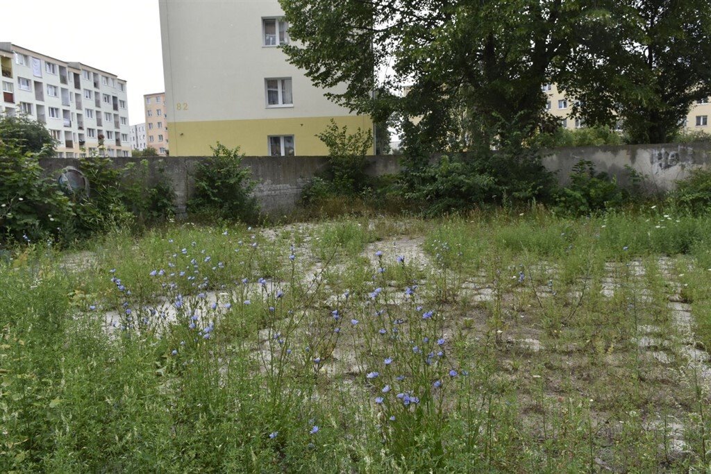 Działka przemysłowo-handlowa na sprzedaż Gdynia, Redłowo, Zbigniewa Herberta  1 094m2 Foto 1