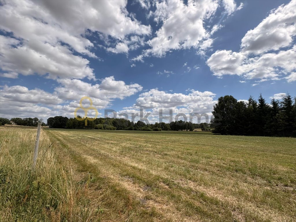 Działka nad Jeziorem Powidzkim, 8-12 arów, media w pobliżu Giewartów  800m2 Foto 1