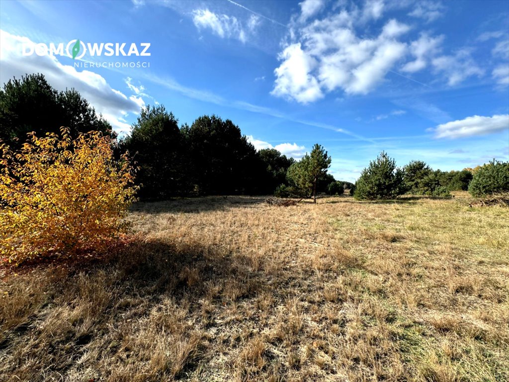 Działka rekreacyjna na sprzedaż Żarki, Stanisława Moniuszki  8 142m2 Foto 1