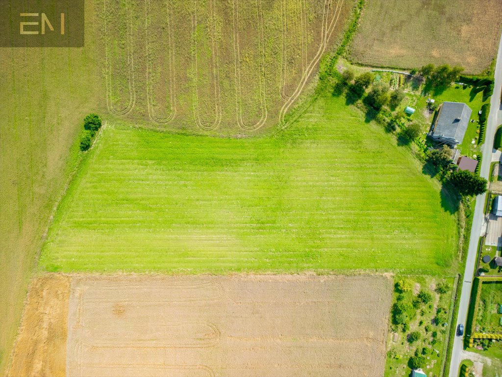 Działka budowlana na sprzedaż Markuszowa  8 600m2 Foto 7