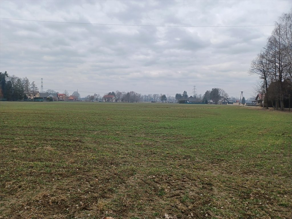 Działka budowlana na sprzedaż Ochaby Wielkie  15 747m2 Foto 2