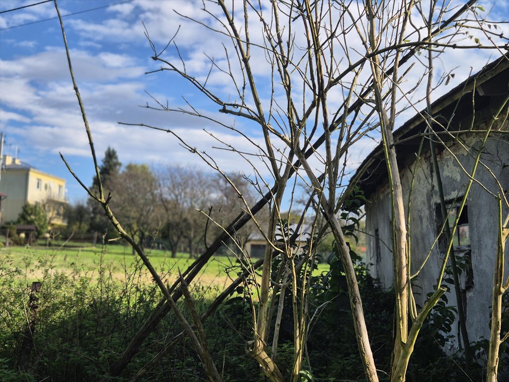 Działka budowlana na sprzedaż Jedlicze, Maurycego Kurkowskiego  1 799m2 Foto 7