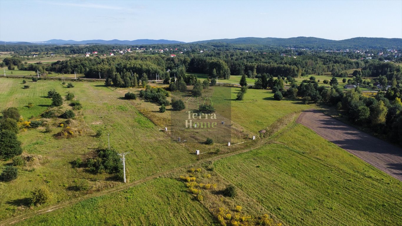 Działka budowlana na sprzedaż Piekoszów  1 111m2 Foto 5