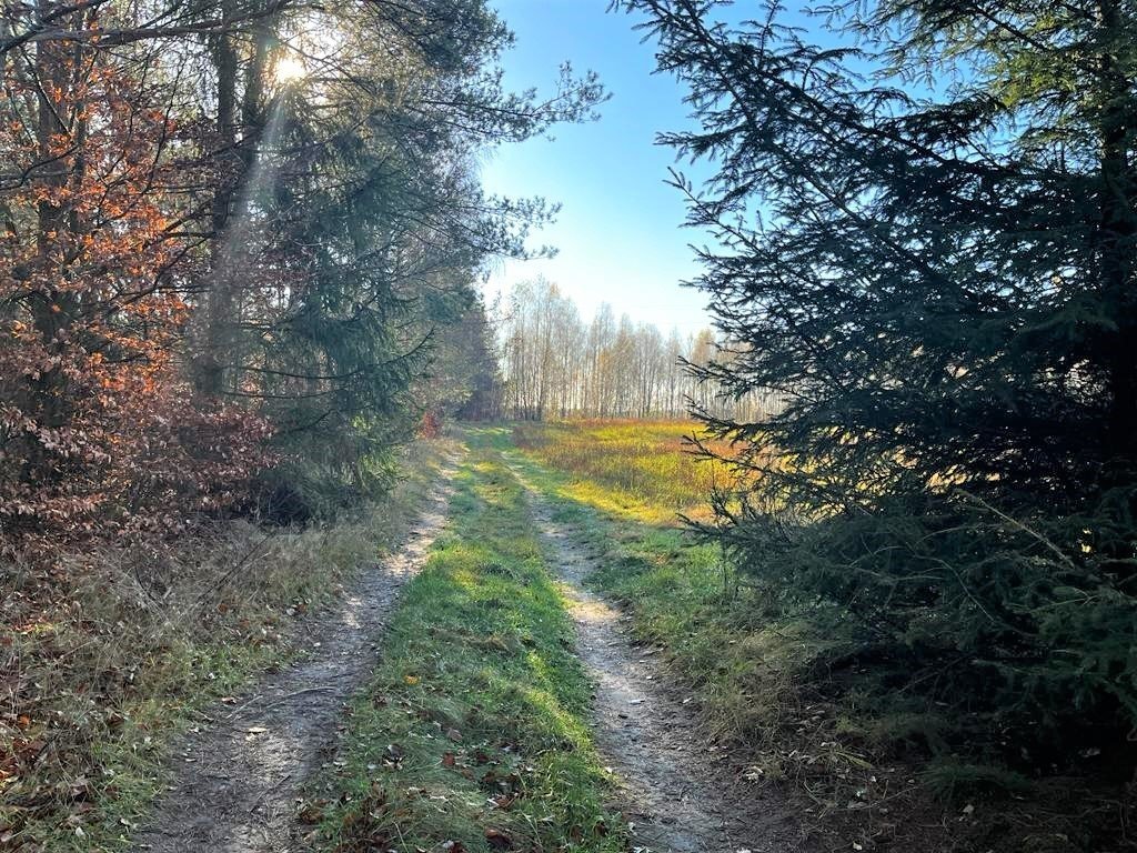 Działka siedliskowa na sprzedaż Zadry  70 600m2 Foto 8