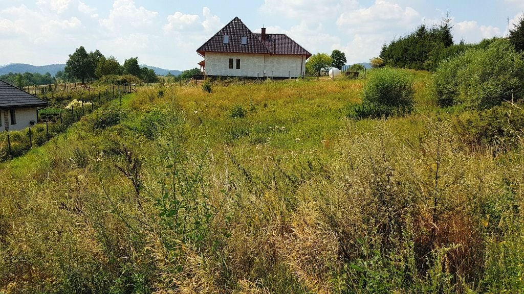 Działka budowlana na sprzedaż Olszyniec, Podlesie  1 640m2 Foto 2