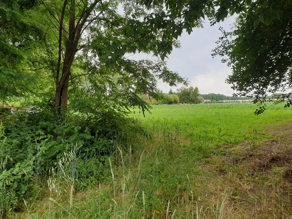 Działka z domem i sadem w Skrzynkach - 40 000 m2. Skrzynki  40 000m2 Foto 1