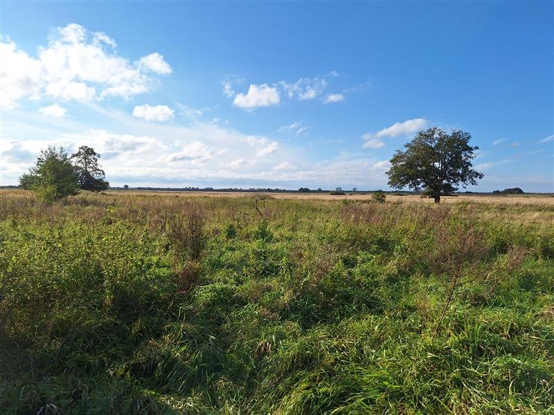 Działka budowlana na sprzedaż Rusko, Rusko  1 442m2 Foto 6