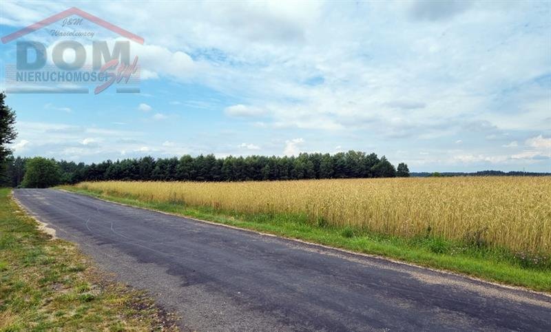 Działka budowlana na sprzedaż Stara Korytnica  13 800m2 Foto 5