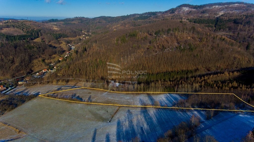 Działka budowlana na sprzedaż Wojciechowice  41 000m2 Foto 6