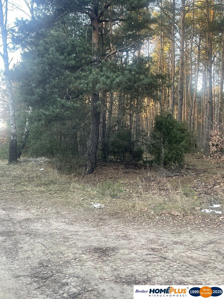 Działka przemysłowo-handlowa na sprzedaż Radzymin  55 416m2 Foto 1