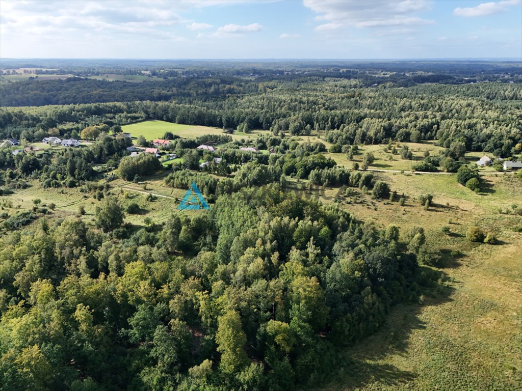 Działka siedliskowa na sprzedaż Mierzeszyn  12 301m2 Foto 12