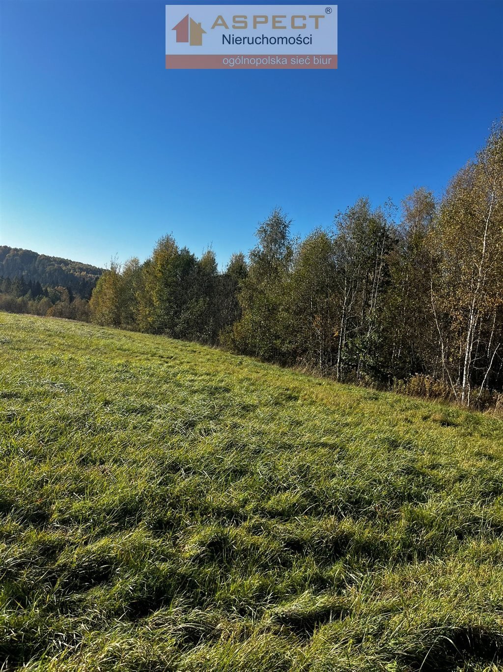 Działka budowlana na sprzedaż Wyręby  6 447m2 Foto 5