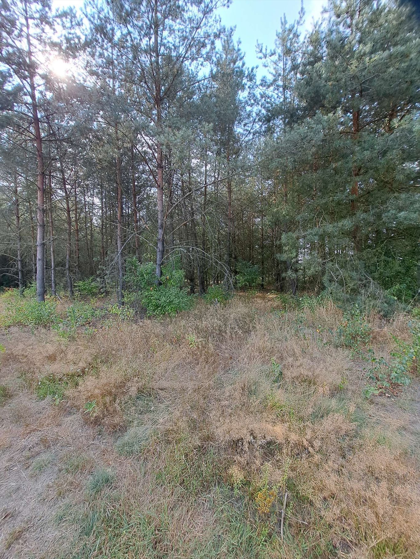 Działka budowlana na sprzedaż Stęszewko, Stęszewko, Wiejska  1 298m2 Foto 5