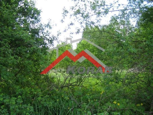 Działka budowlana na sprzedaż Kępa Kiełpińska, Gajowa 3 000m2 Foto 1 Działka budowlana na sprzedaż Kępa Kiełpińska, Gajowa 3 000m2 Foto 1
