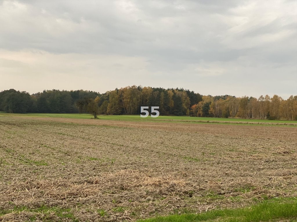 Działka siedliskowa na sprzedaż Ślądkowice  12 900m2 Foto 5