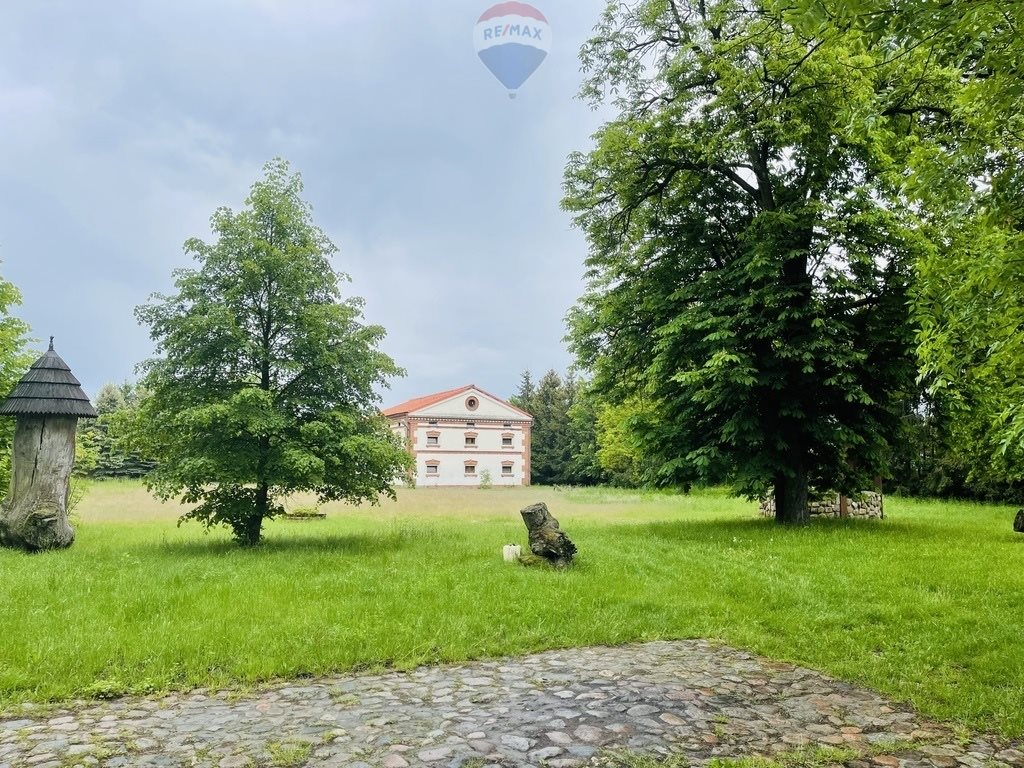 Lokal użytkowy na sprzedaż Kolonia Paplin  1 020m2 Foto 8