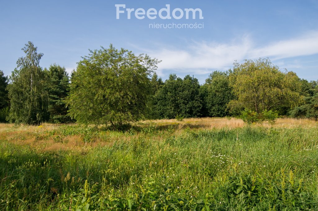 Działka budowlana na sprzedaż Junoszyno, Brzozowa  8 300m2 Foto 15