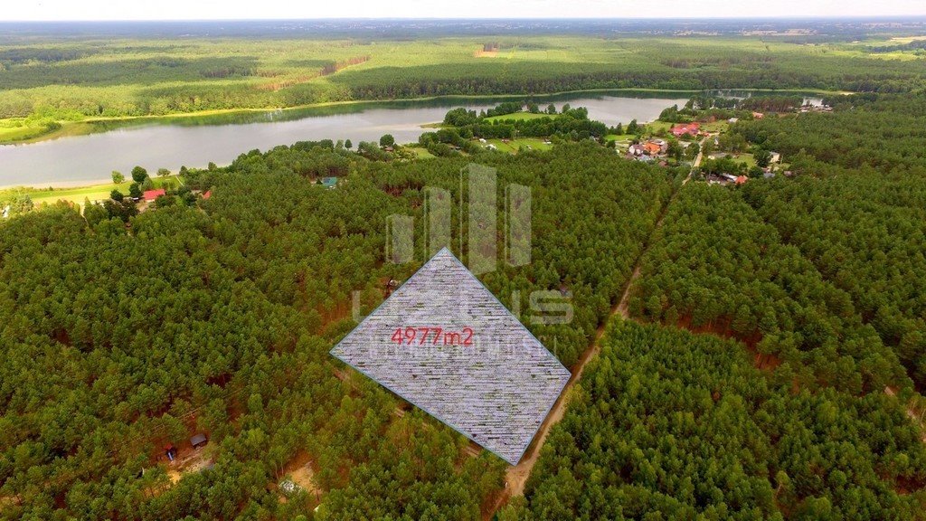 Działka leśna 4977 m² w Borach Tucholskich z dostępem do jeziora Ostrowite  4 977m2 Foto 1