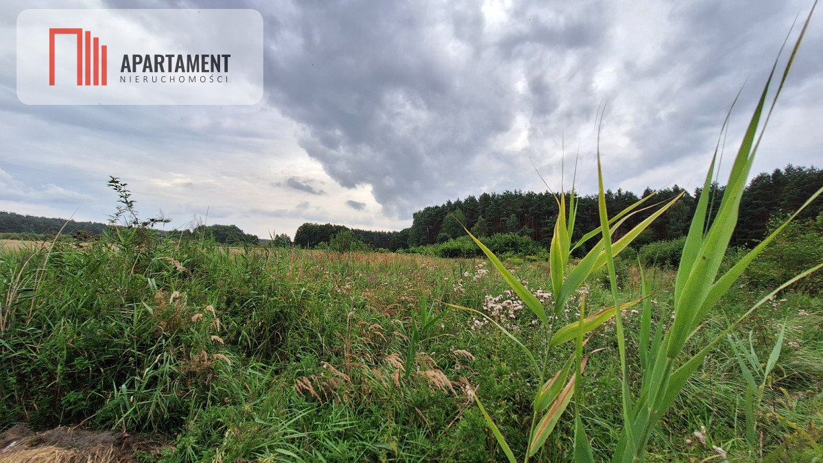 Działka gospodarstwo rolne na sprzedaż Białe Błota  3 014m2 Foto 1