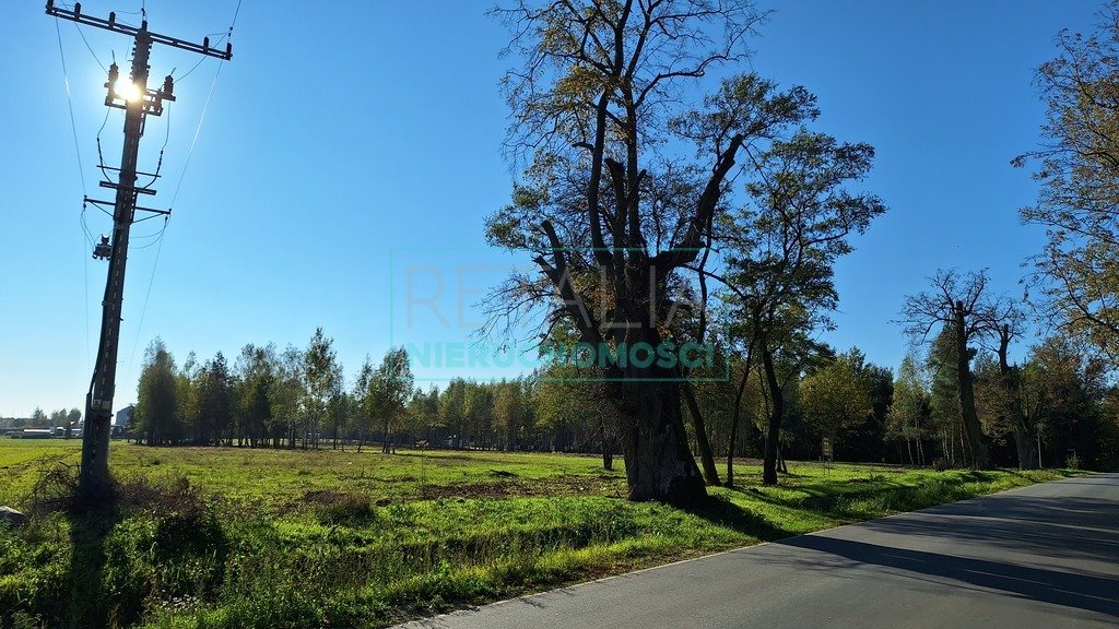 Działka budowlana na sprzedaż Radziejowice  3 300m2 Foto 2