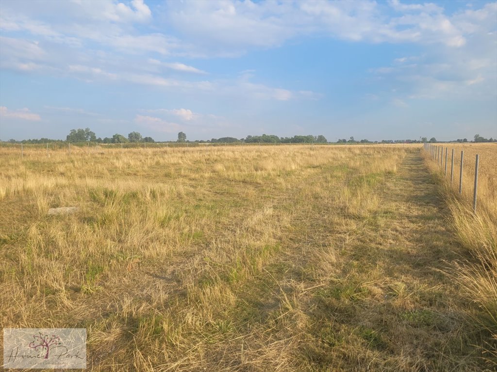 Działka budowlana na sprzedaż Skotniki  1 960m2 Foto 1