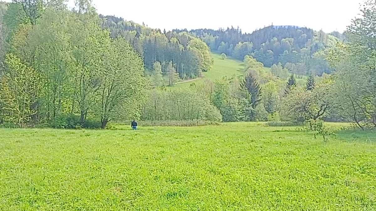 Działka budowlana na sprzedaż Czarnów  10 170m2 Foto 1