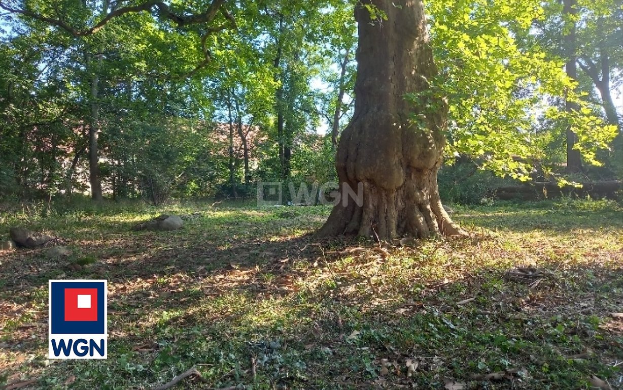 Działka budowlana na sprzedaż Kochlice, Kochlice  9 500m2 Foto 3