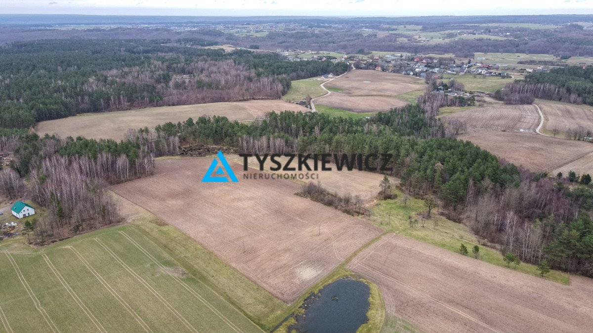 Działka budowlana na sprzedaż Dąbrówka, Brzozowa  10 104m2 Foto 1