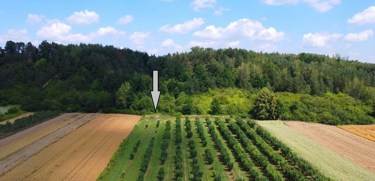 Działka 700 m² w pięknej okolicy, blisko lasów i rzeki Pętkowice  700m2 Foto 1