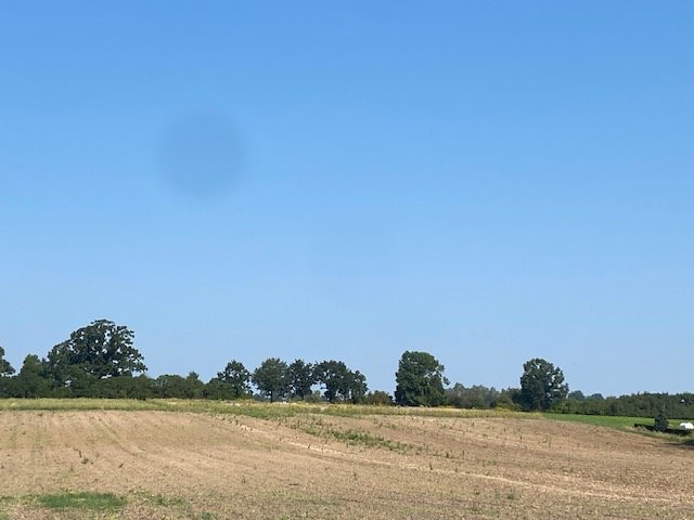 Działka budowlana na sprzedaż Grodziszcze  1 119m2 Foto 6