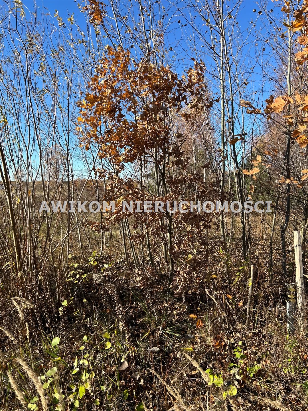 Działka budowlana na sprzedaż Stara Wieś  1 000m2 Foto 3