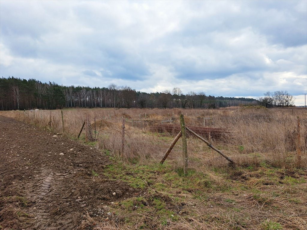 Działka przemysłowo-handlowa na sprzedaż Bolechowo, Bolechowo, Krańcowa  6 215m2 Foto 8