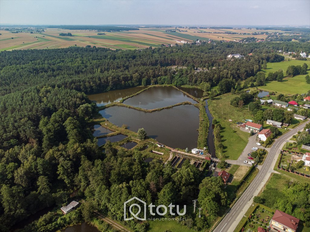 Działka inwestycyjna na sprzedaż Krężnica Jara  50 420m2 Foto 3