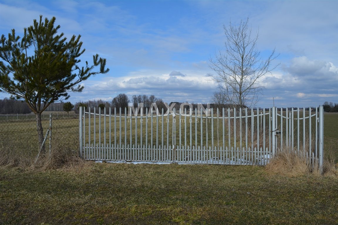 Działka siedliskowa na sprzedaż Ruchna  6 000m2 Foto 6