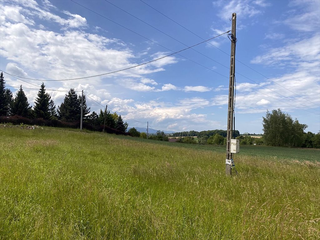 Działka rolna na sprzedaż Bażanowice, Dworska  5 007m2 Foto 3