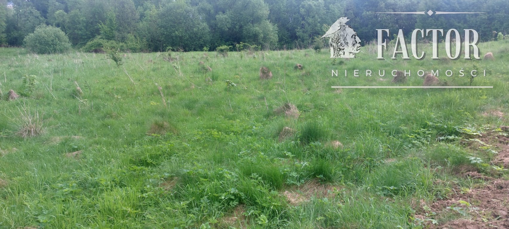 Działka 30 a w Siarach – idealna na rekreację, otoczona drzewami Siary  3 000m2 Foto 1