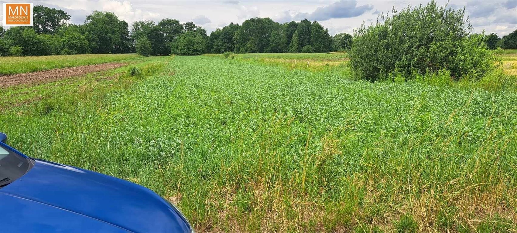 Działka rekreacyjna na sprzedaż Grobla  2 700m2 Foto 6