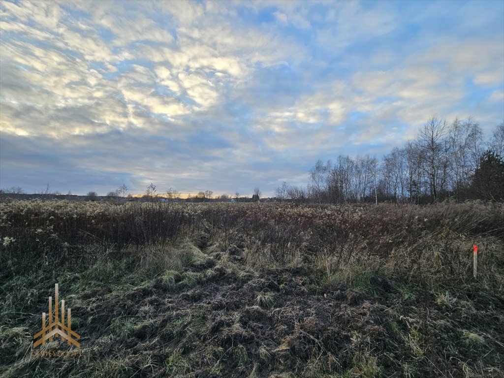 Działka rolna na sprzedaż Stare Lipiny, Kwitnąca  12 254m2 Foto 4