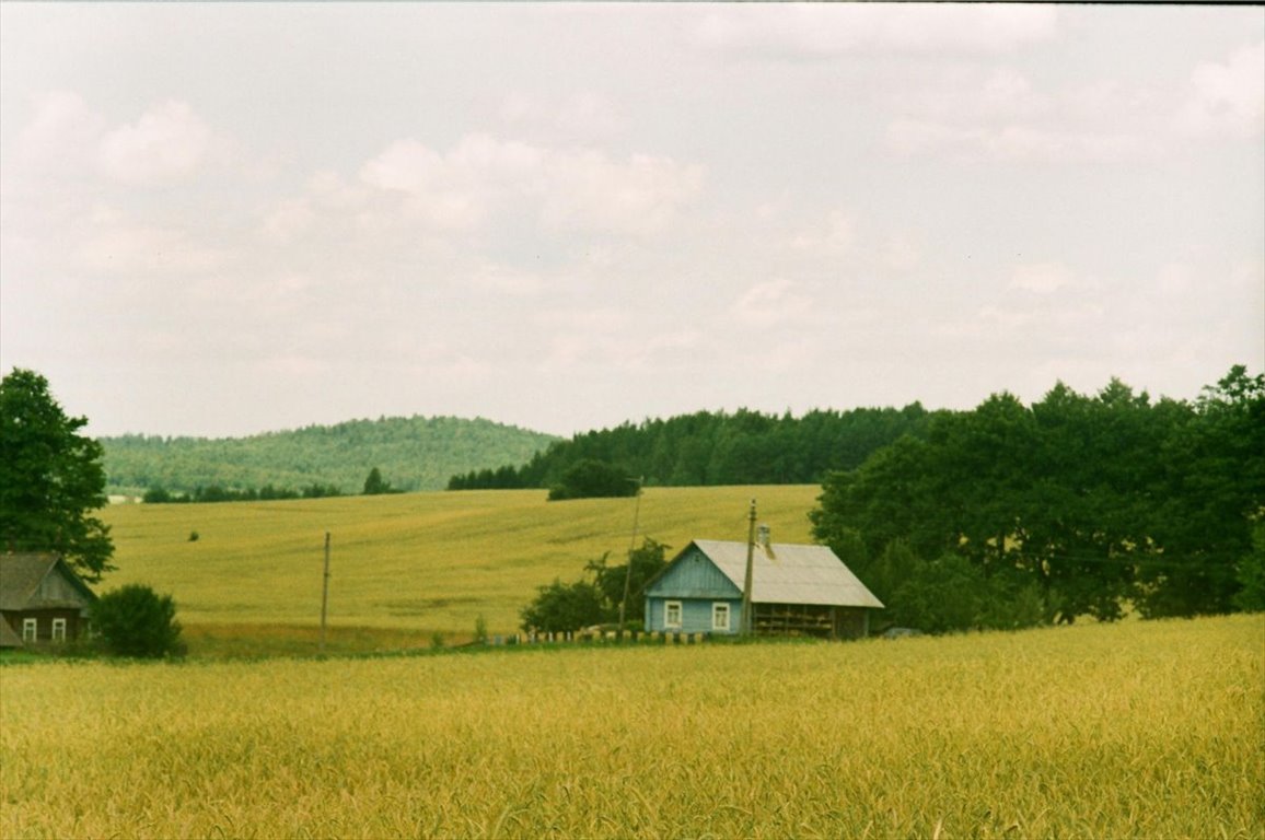 Działka siedliskowa na sprzedaż Stare Trzciano  2 700m2 Foto 3