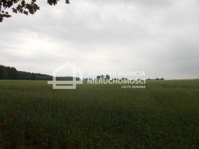 Działka rolna na sprzedaż Mszano  41 960m2 Foto 2