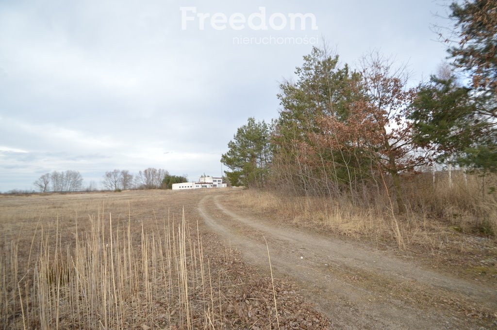 Działka inwestycyjna na sprzedaż Brzeziny  520 000m2 Foto 9