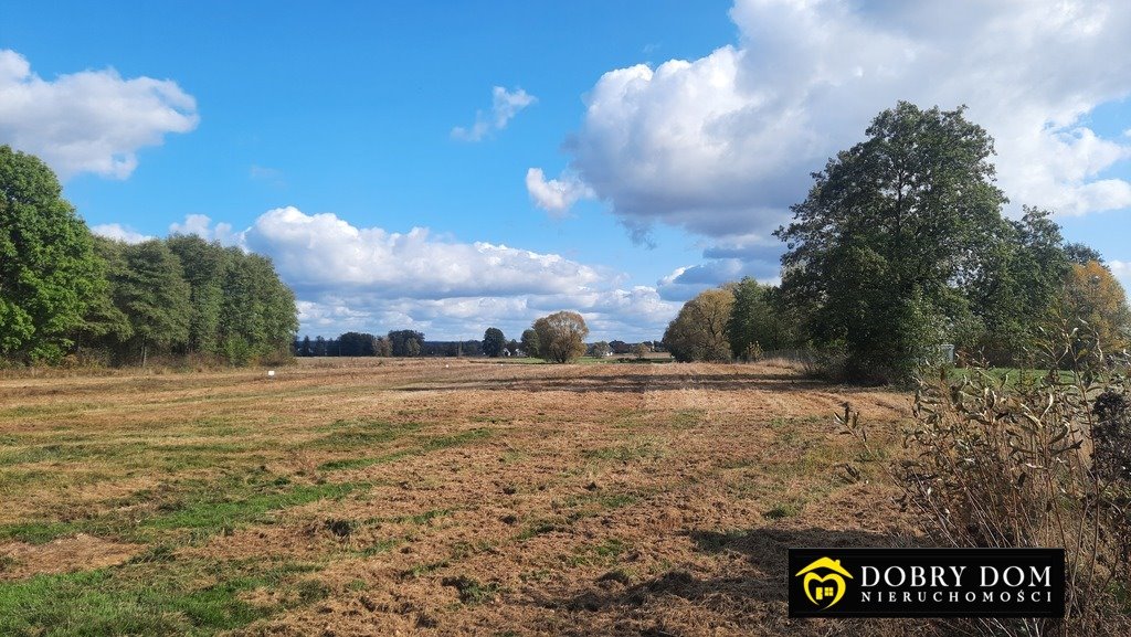 Działka budowlana na sprzedaż Krypno Kościelne  1 362m2 Foto 11