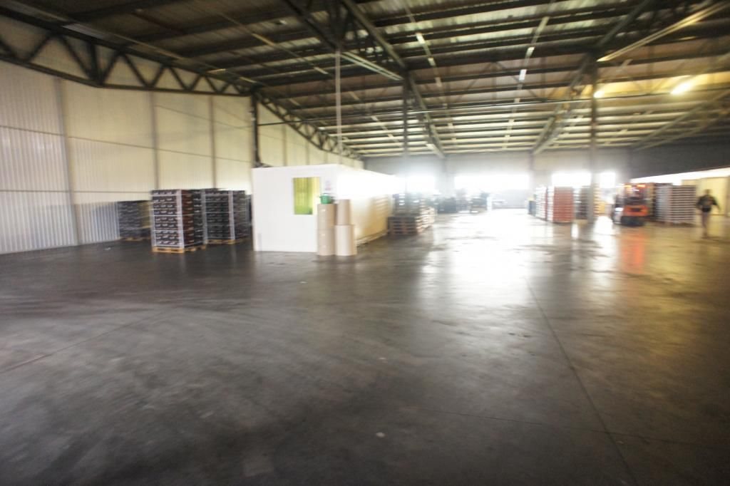 Lokal użytkowy na wynajem Poznań, Nowe Miasto, Szczepankowo, Pokrzywno 2 000m2 Foto 1 Lokal użytkowy na wynajem Poznań, Nowe Miasto, Szczepankowo, Pokrzywno 2 000m2 Foto 1