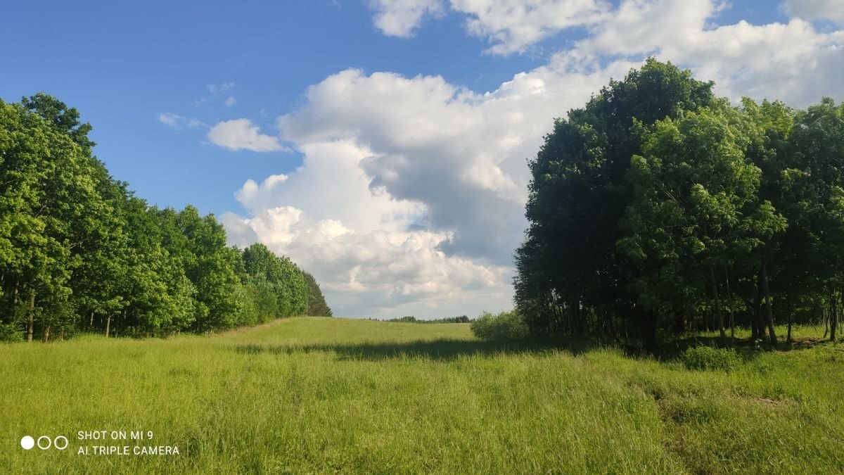 Mieszkanie dwupokojowe na sprzedaż Żytkiejmy  52m2 Foto 5