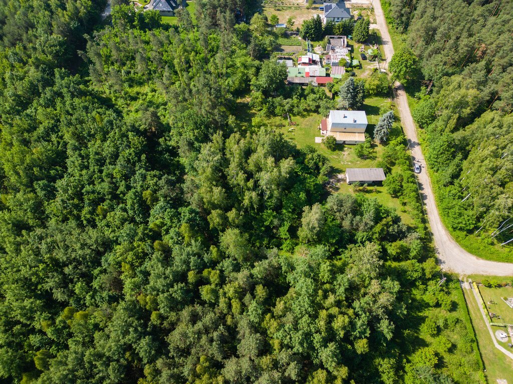 Działka budowlana na sprzedaż Ostrowiec Świętokrzyski, Las Rzeczki  2 356m2 Foto 12