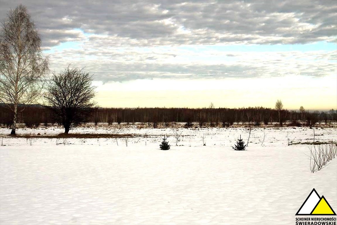 Działka budowlana na sprzedaż Orłowice, Orłowice  2 700m2 Foto 7