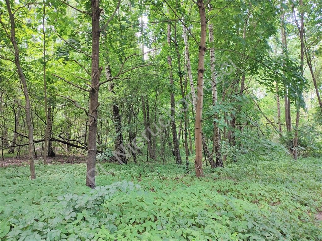 Działka budowlana na sprzedaż Osowiec  1 000m2 Foto 3