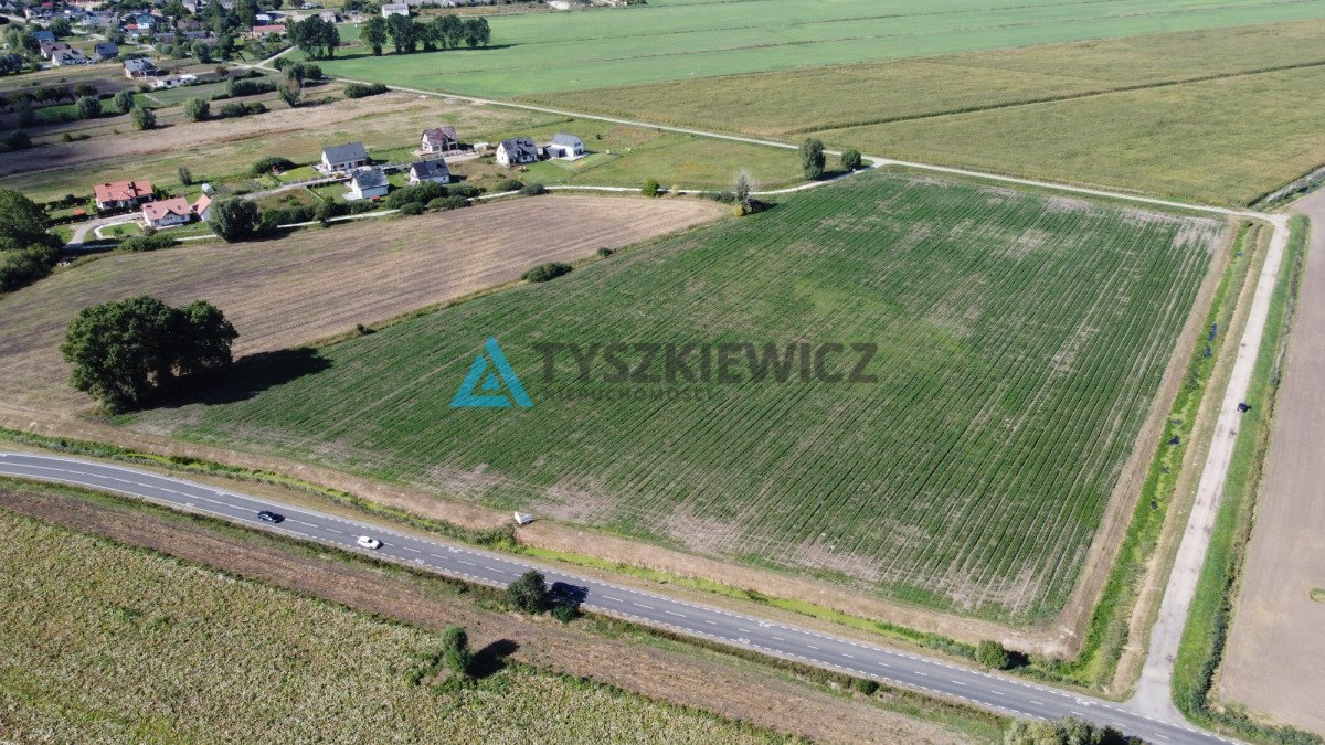 Działka rolna na sprzedaż Rokitnica, Ogrodowa  3 035m2 Foto 4