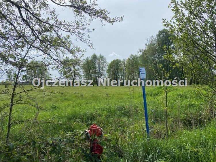 Działka rolna na sprzedaż Brzoza  16 700m2 Foto 3