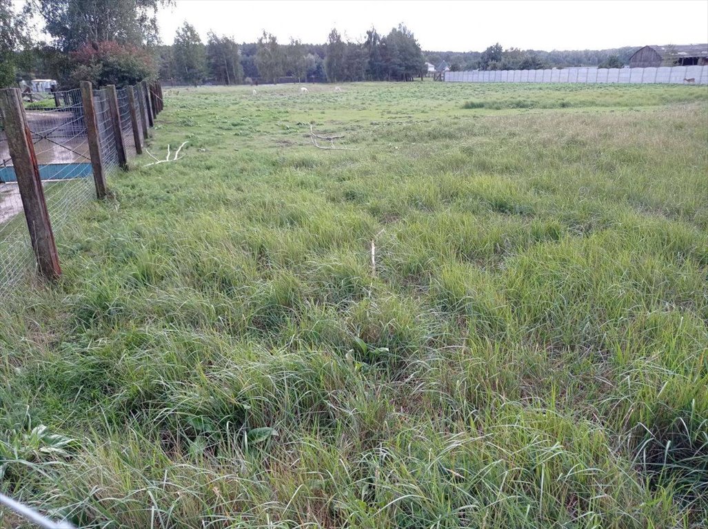 Działka budowlana na sprzedaż Bolesławiec, Bolesławiec  1 492m2 Foto 5